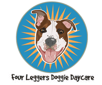 Four Leggers Doggie Daycare