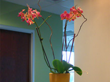 shared executive office
