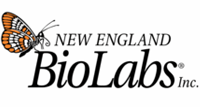 New England Biolabs